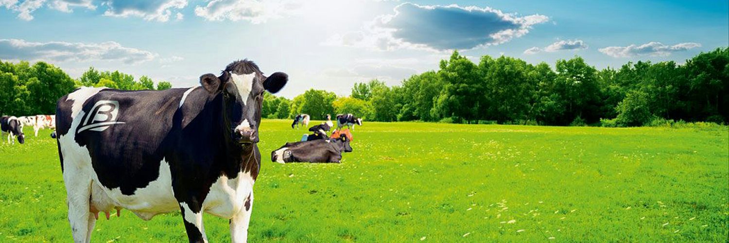 weAREbioret's profile banner image