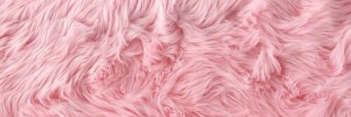 kyliestheorem's profile banner image
