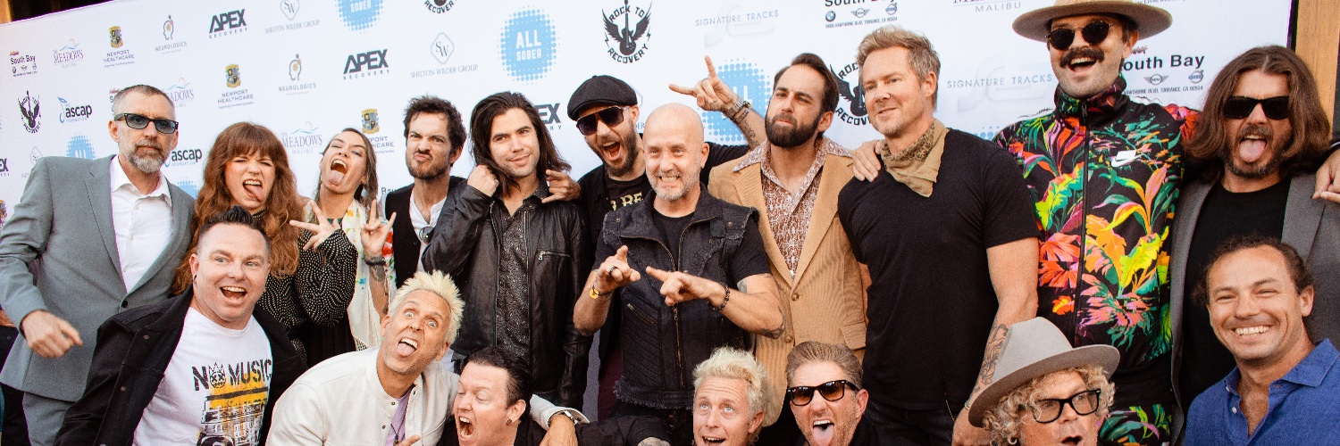 RocktoRecovery banner