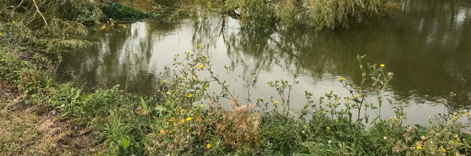 Zoë Neill Readhead banner