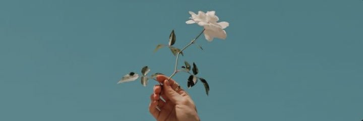 Miss_JulyR's profile banner image