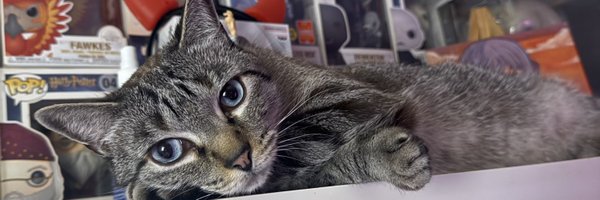 moniovess Profile Banner