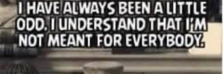 delladreamer's profile banner image