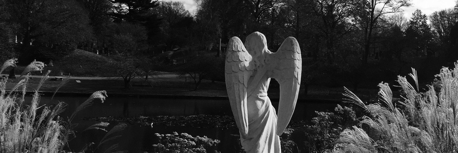 Tricia Narwani banner