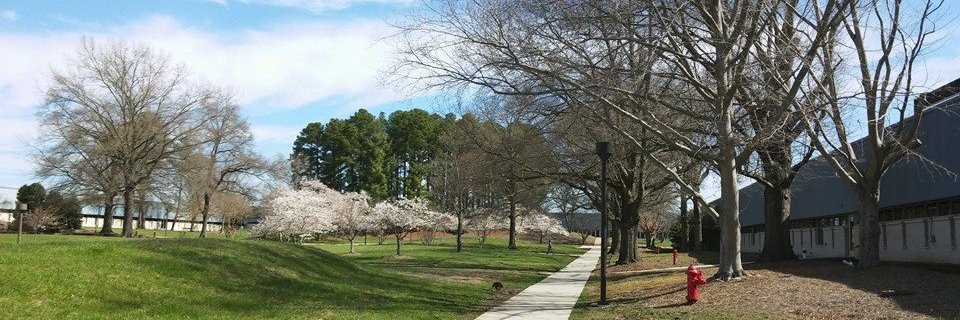 PatrickCSFan's profile banner image