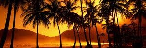 ___Whitney's profile banner image