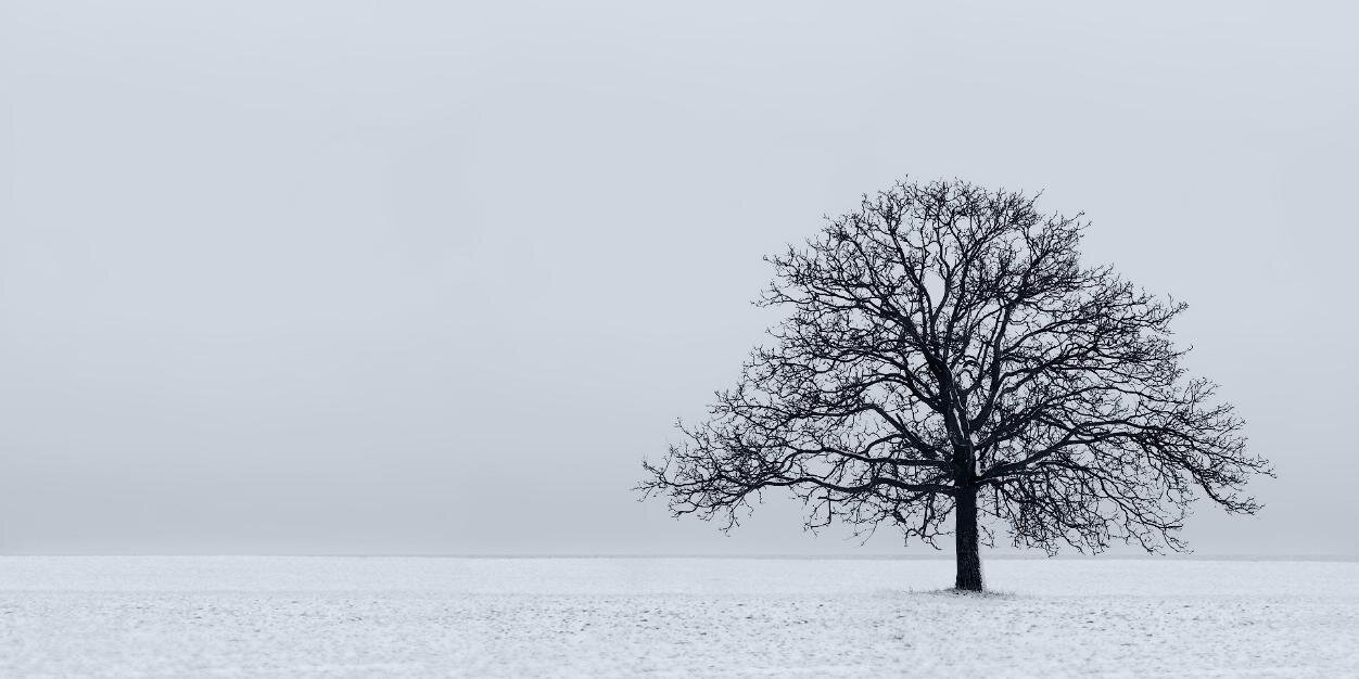 DanBanderThinks's profile banner image