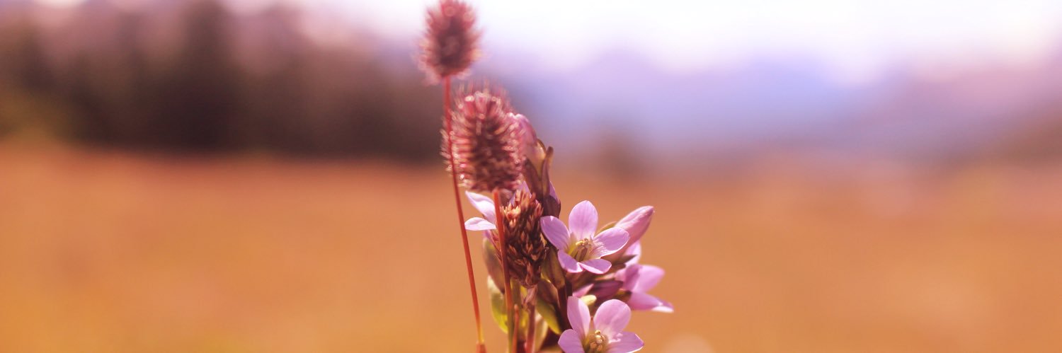Nievus_'s profile banner image
