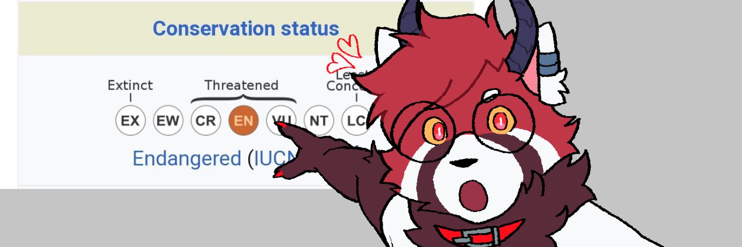 leviapanda.bsky.social banner