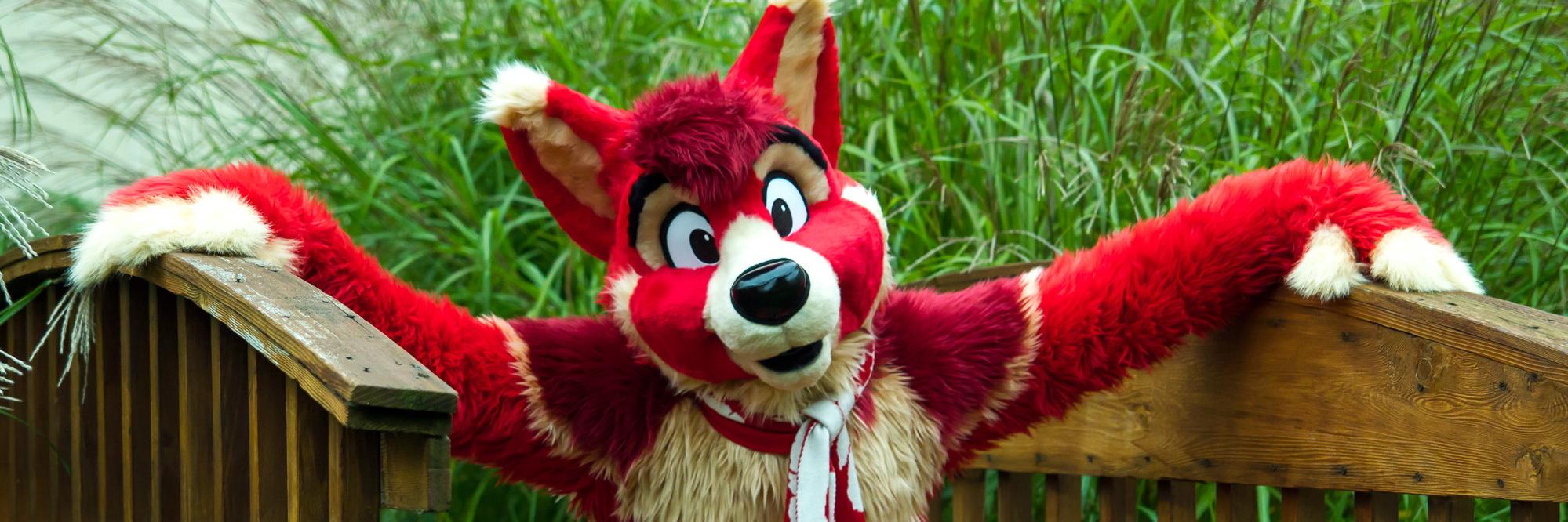 baconcoyote's profile banner image