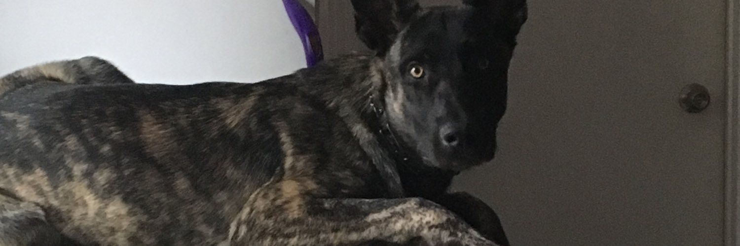 thennessy22's profile banner image