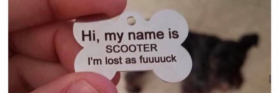 Scoutiepoo's profile banner image