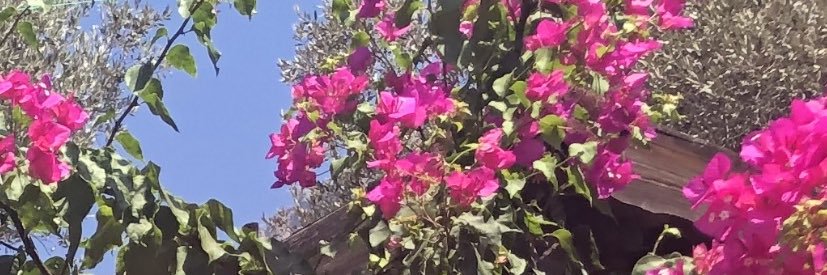 chrissy7pink's profile banner image