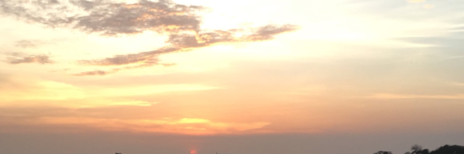 MarialeMorenoC's profile banner image
