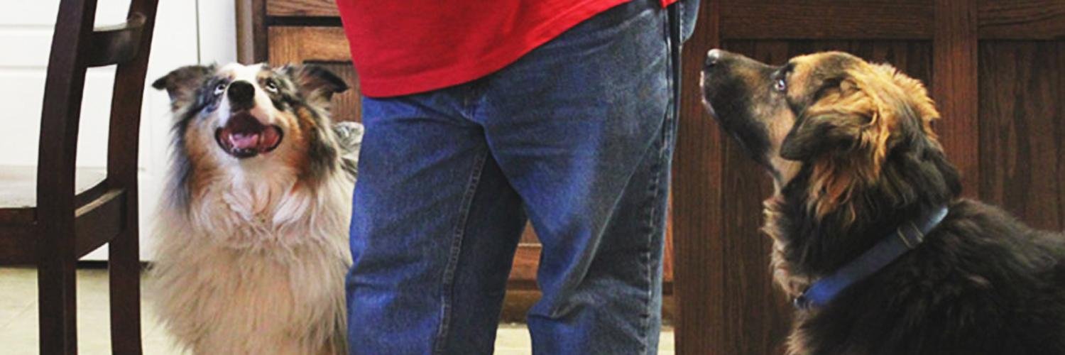BryanDblDog's profile banner image