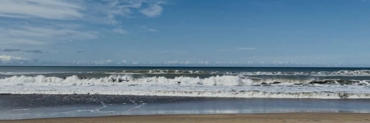 So🧚🏼‍♀️ banner