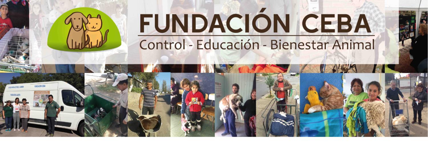 fundCeba's profile banner image