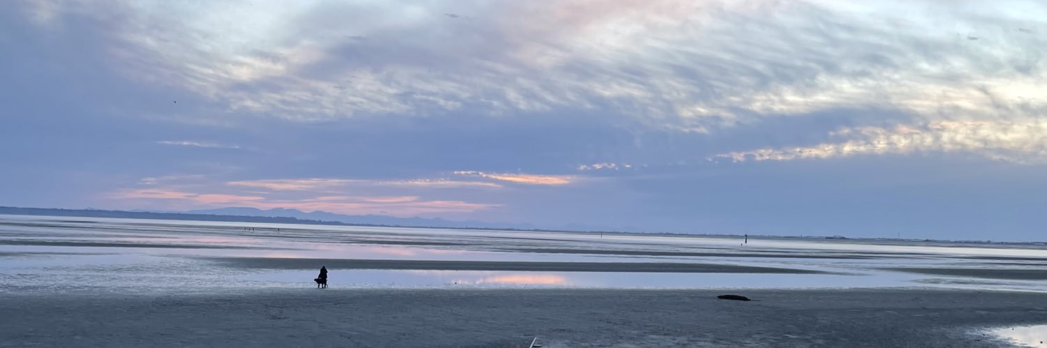 Amanda_Bhopes's profile banner image