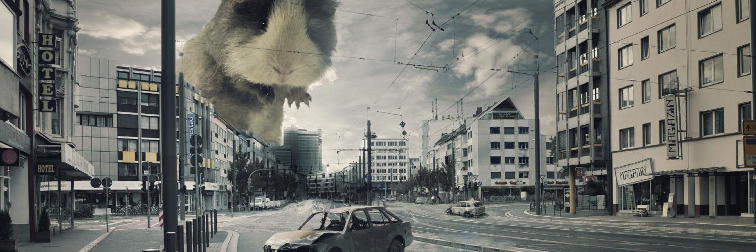 Susi_fuzzyhead's profile banner image