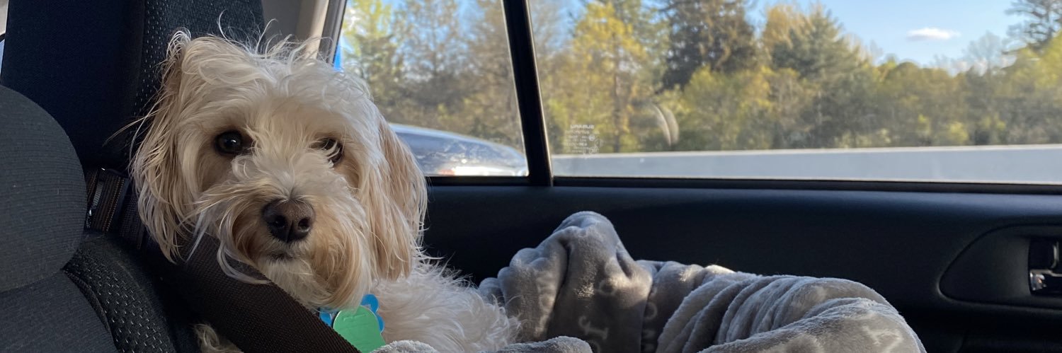 MaddyFarens's profile banner image