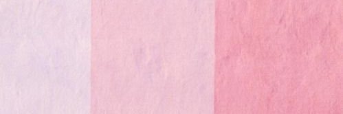 PINKBoiseState's profile banner image