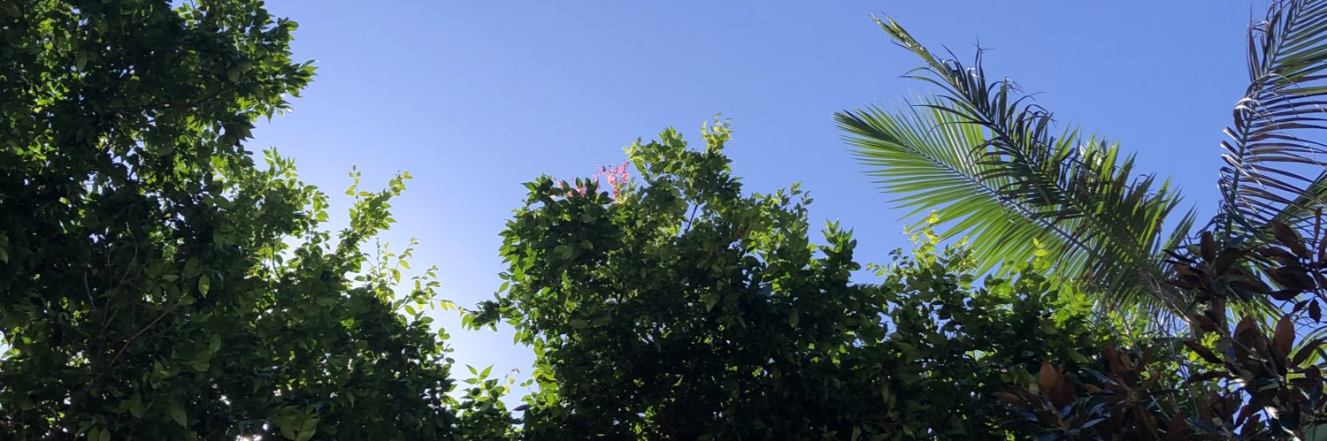 Kandice Jade Varcin banner