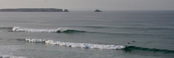 TroutDev Profile Banner