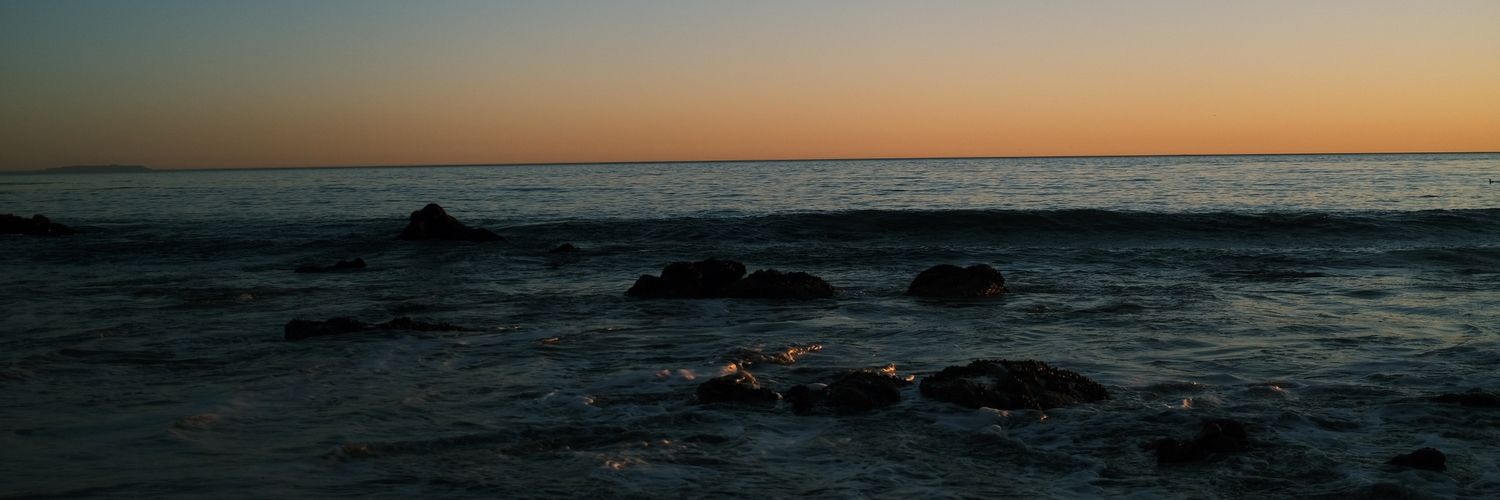 🐧 banner