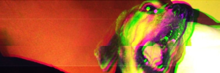 Bitter boogie banner