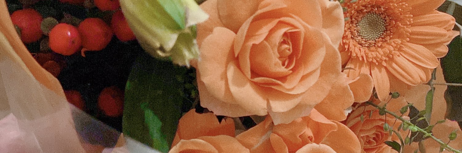 monp1229's profile banner image