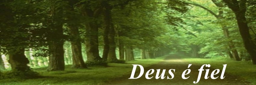 gininhassis's profile banner image