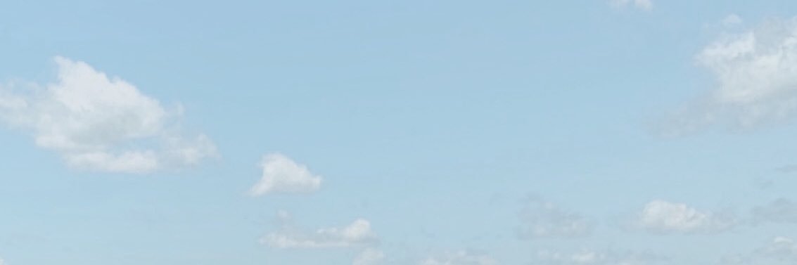 AlliBauch's profile banner image