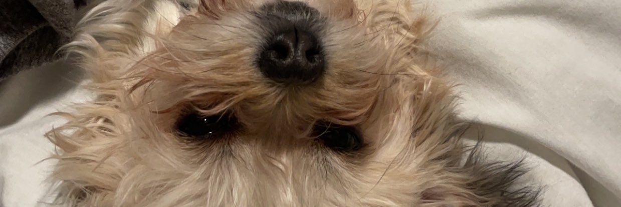 trinhhh_'s profile banner image