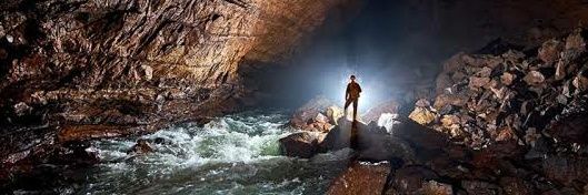 León ⎊ CT9908 🐂🚲💾 banner