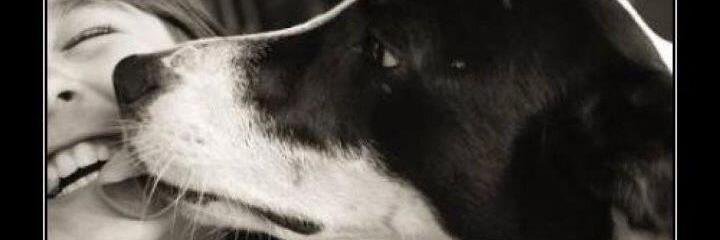 alebaham's profile banner image