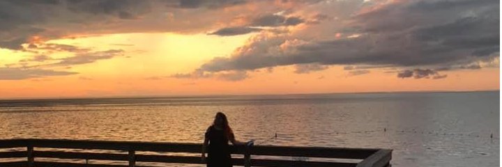robinavidor's profile banner image