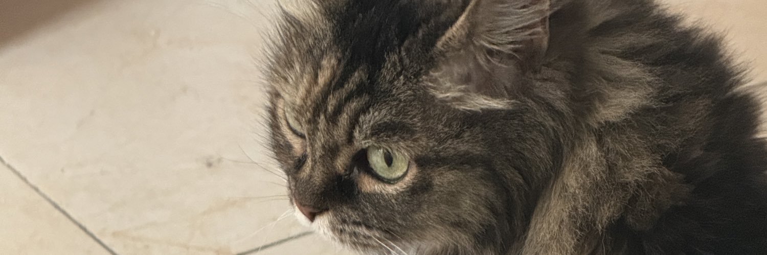 sydxft's profile banner image