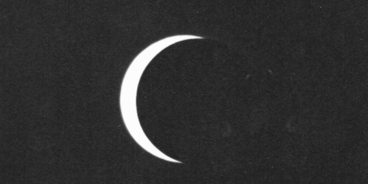 FlowerFraude's profile banner image