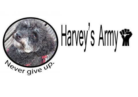 TheHarveyArmy's profile banner image