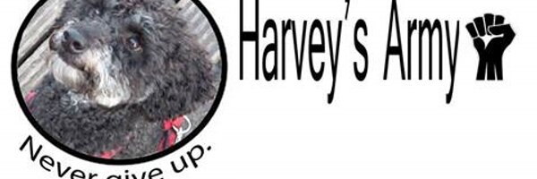 TheHarveyArmy Profile Banner