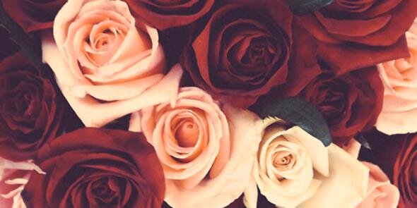 _MaryCadena's profile banner image