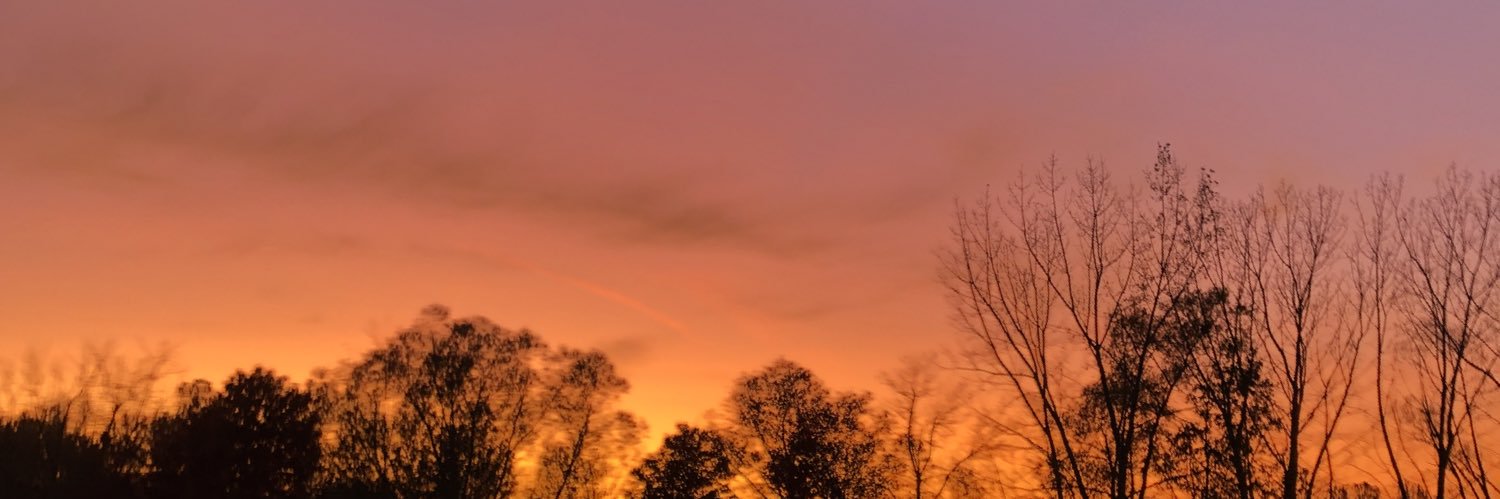 graceallender's profile banner image