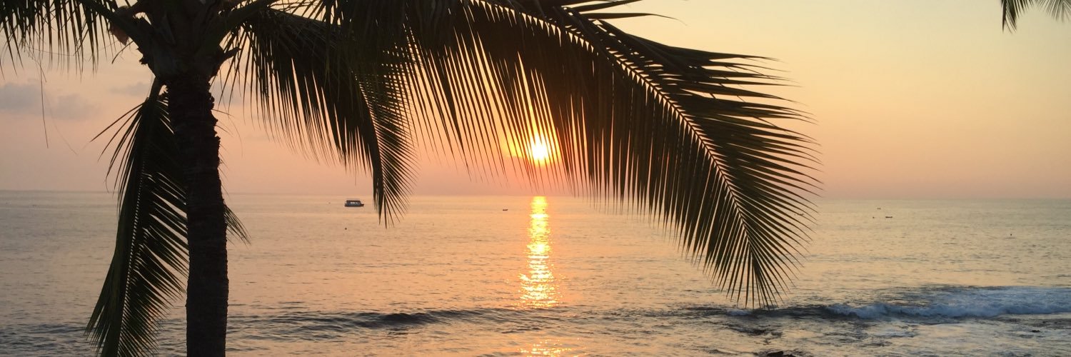 haley_apel's profile banner image