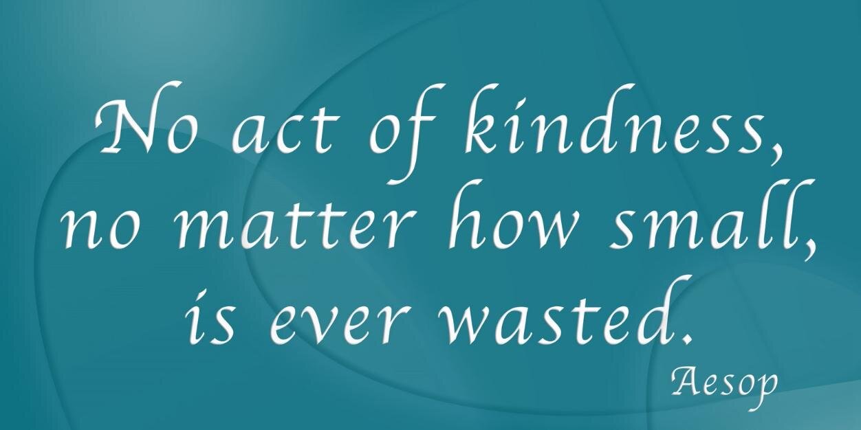 Kindness_NSCC's profile banner image
