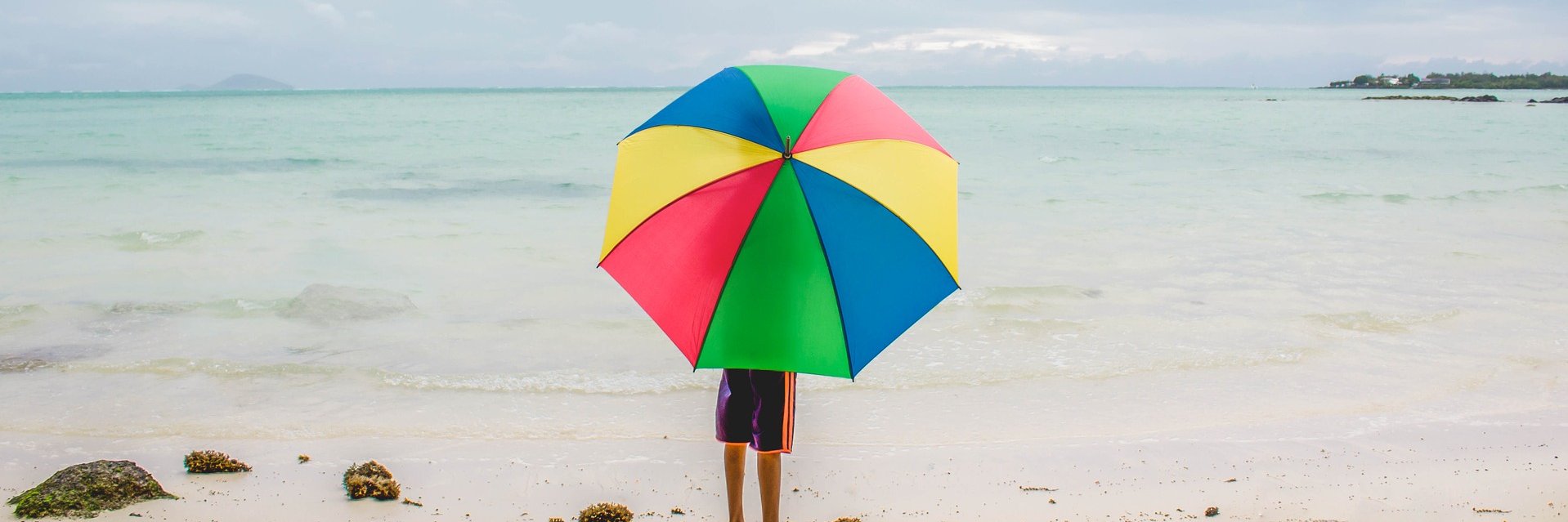 Ann Marie VanSickle banner