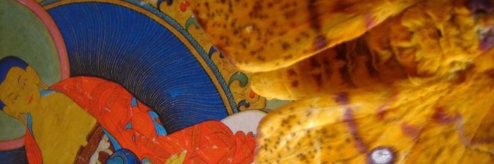 Alistair Appletons Mindsprings banner