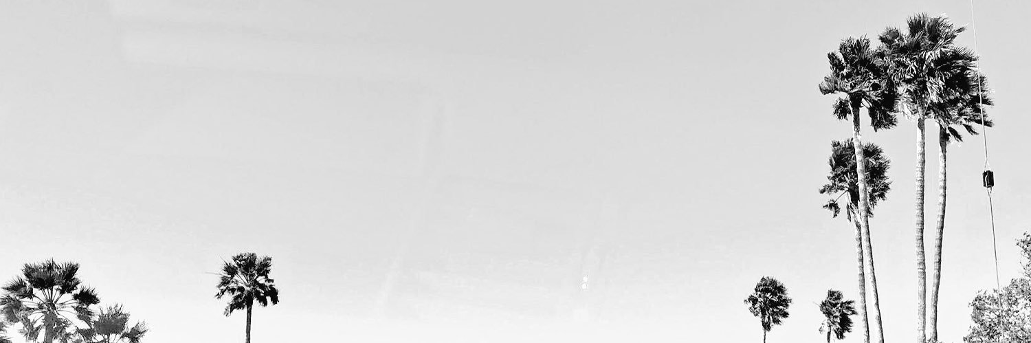 zaryew's profile banner image