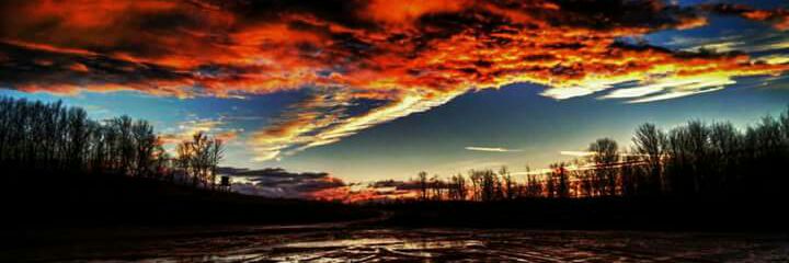 morgendavis88's profile banner image