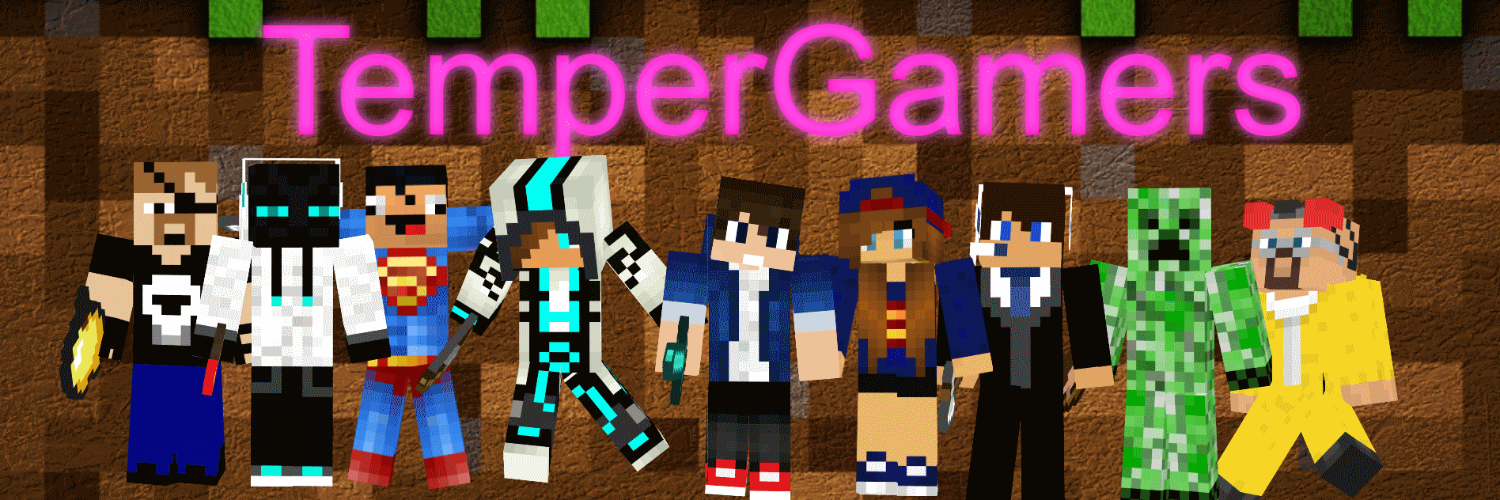 TheTemperGamer banner