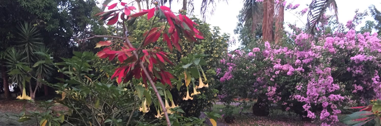 Susanna Oberli banner